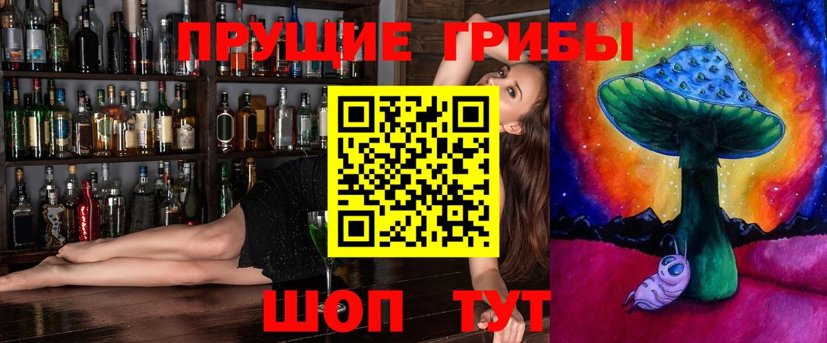 Каменск-Шахтинский  Галлюциногенные грибы Cubensis  Вход с VPN 