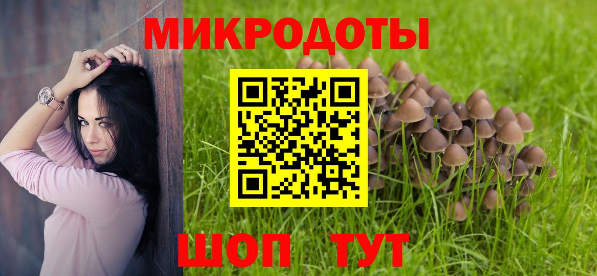 Галлюциногенные грибы MAGIC MUSHROOMS Каменск-Шахтинский
